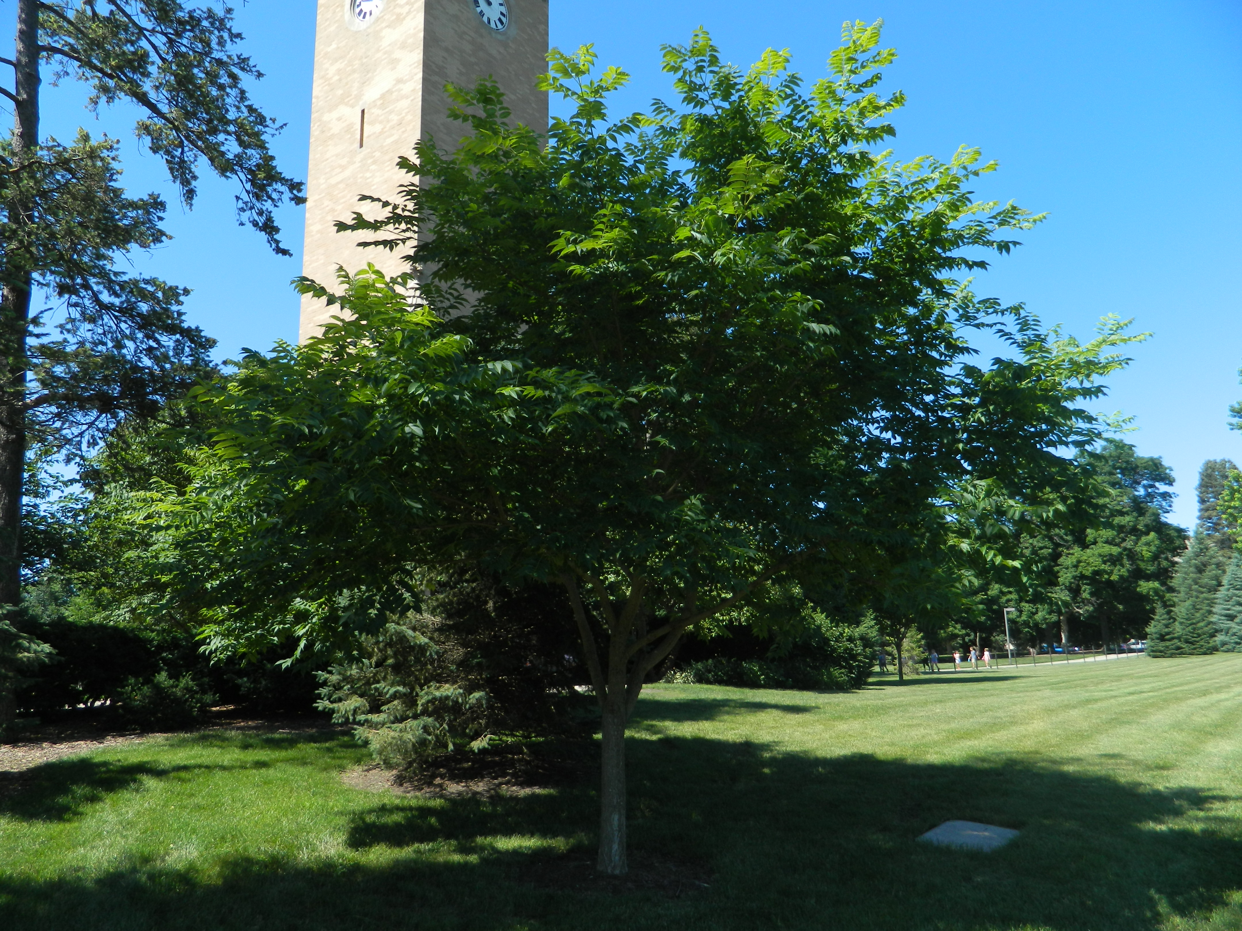 context photo